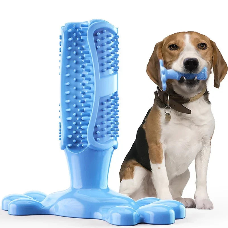 Mordedor e Escova de dentes para Cães